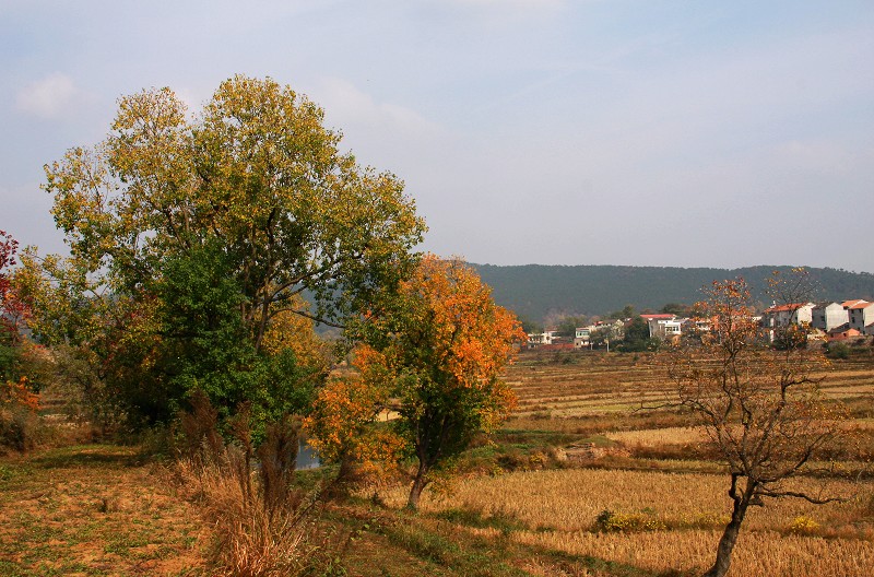 img_5361.jpg