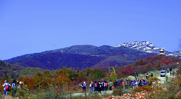 _dsc8491a.jpg