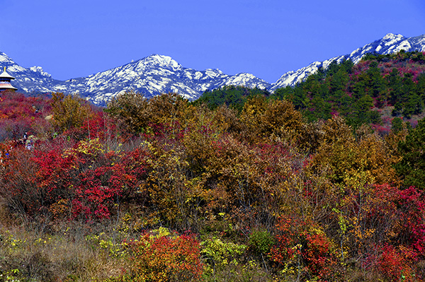 _dsc8501a.jpg