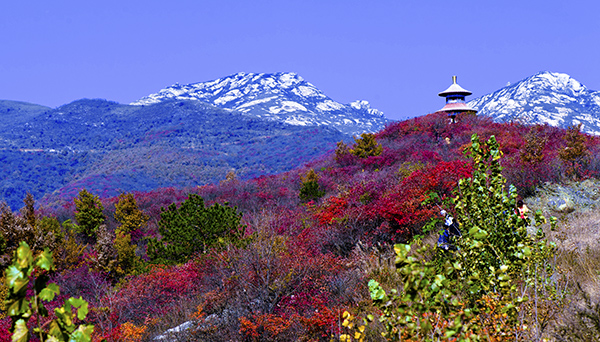 _dsc8511a.jpg