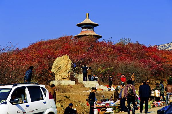 _dsc8513a.jpg