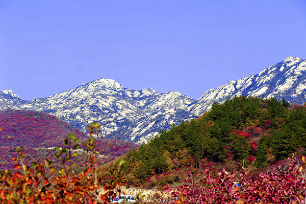 _dsc8516a.jpg