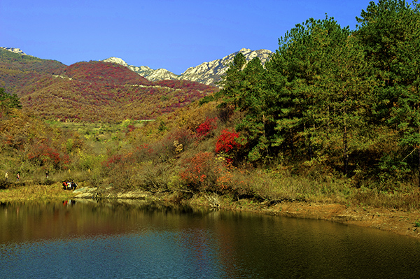 _dsc8537a.jpg