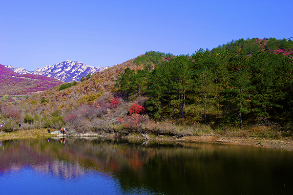 _dsc8539a.jpg