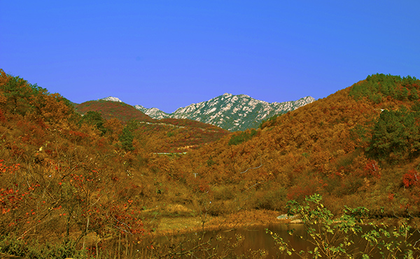 _dsc8564a.jpg