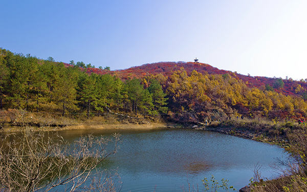 _dsc8571a.jpg