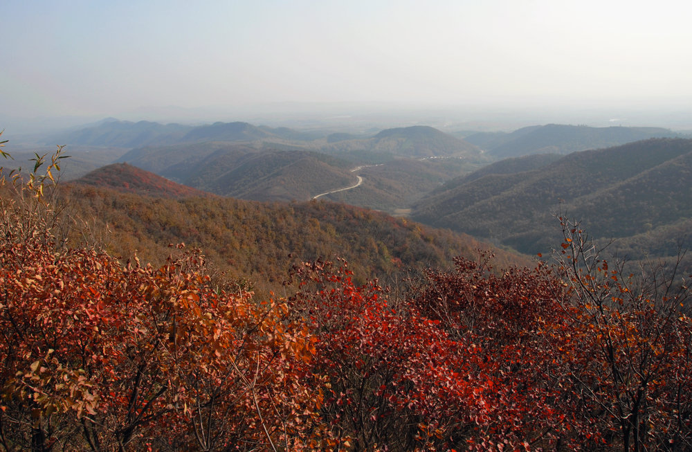 dsc_0098.jpg