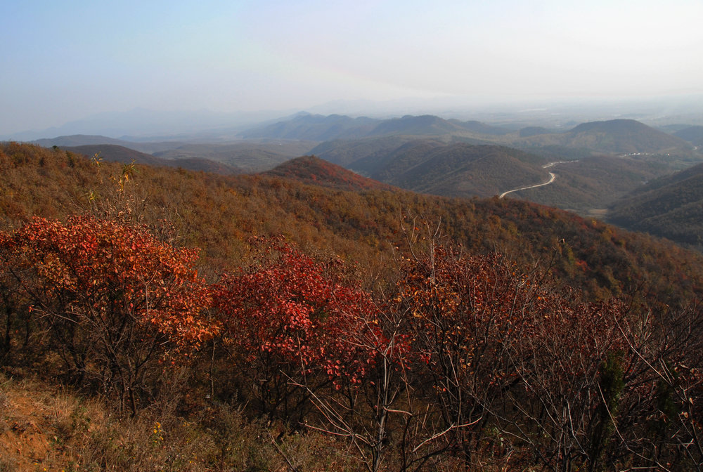 dsc_0099.jpg