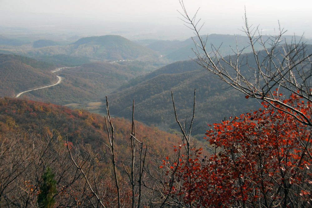 dsc_0100.jpg