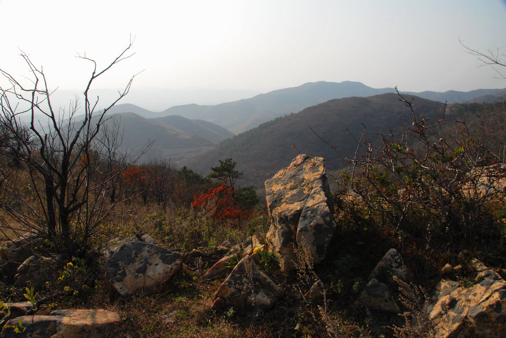 dsc_0104.jpg