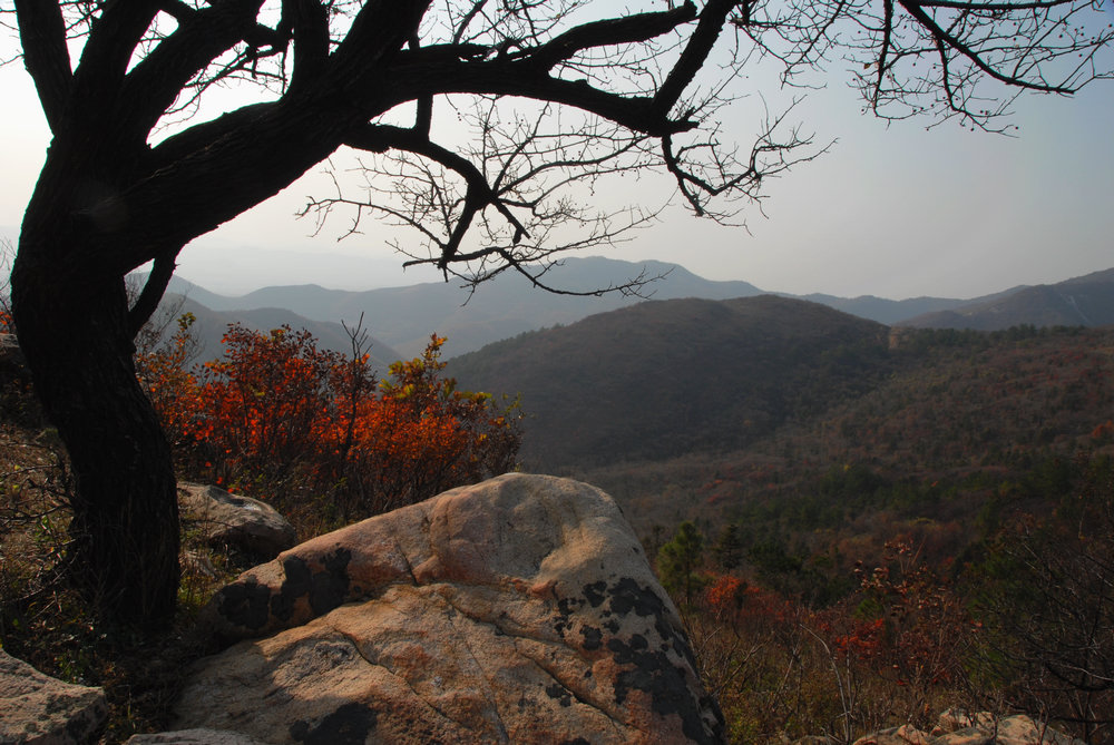 dsc_0111.jpg1.jpg