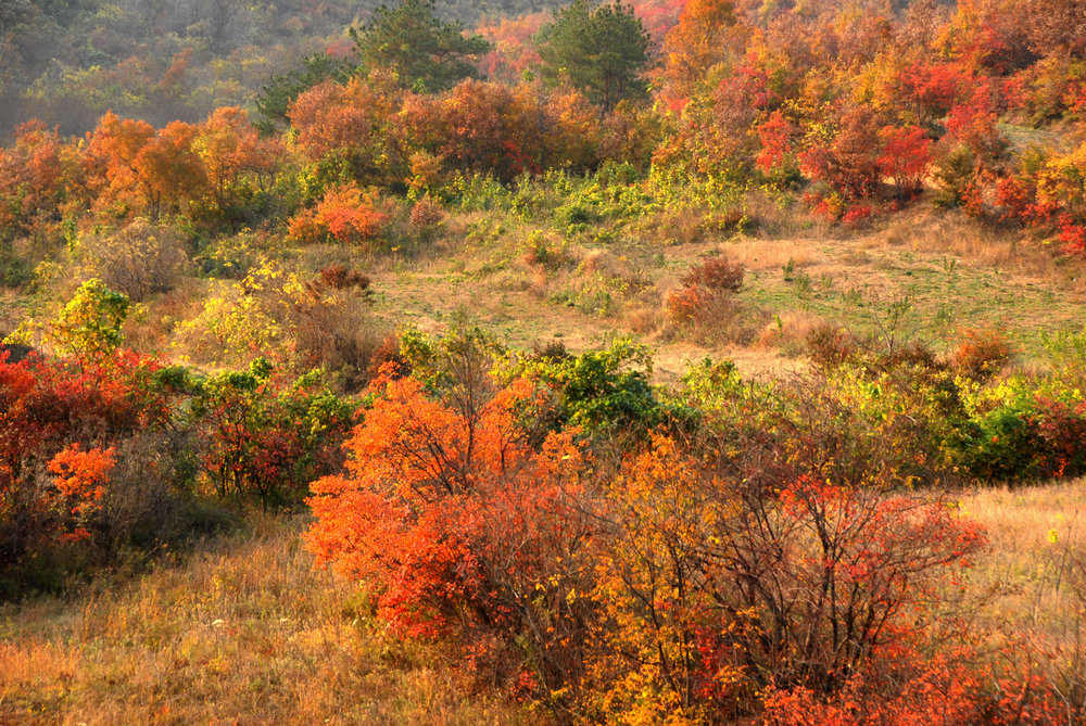 dsc_0167.jpg
