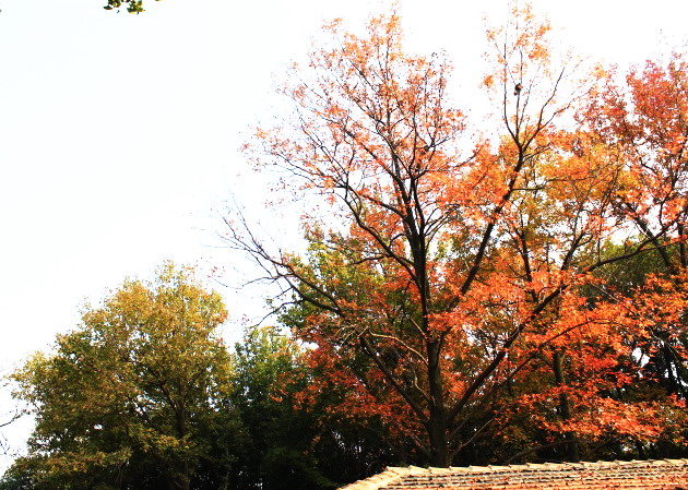 img_4858.jpg