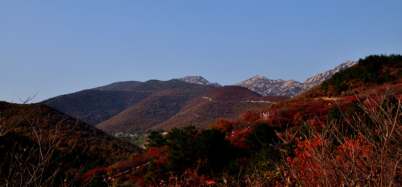 dsc_0225_.jpg