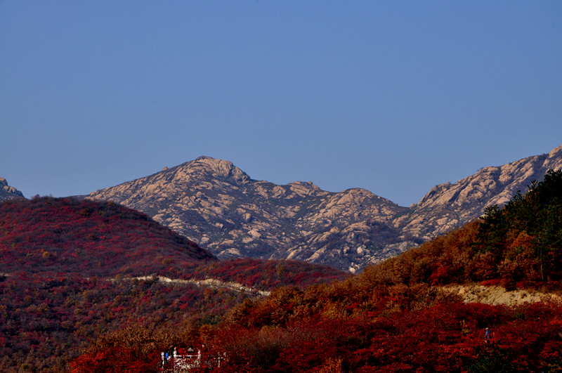 dsc_0227_.jpg