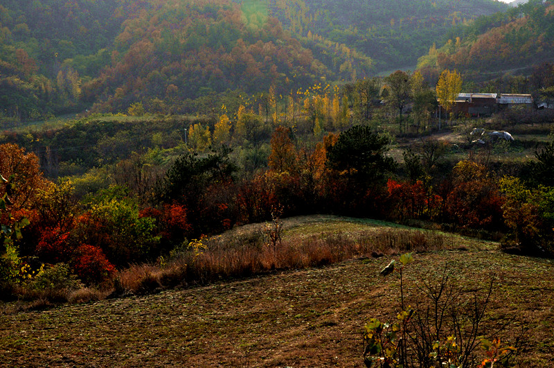 dsc_0254_.jpg