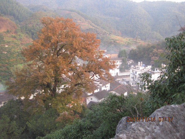 img_5765.jpg