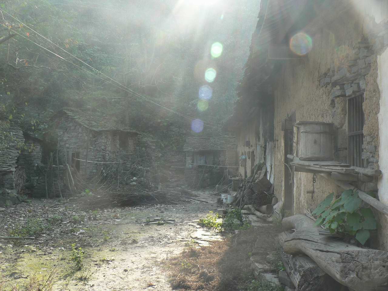p1060917.jpg