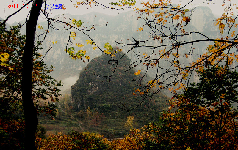 img_4355_1.jpg