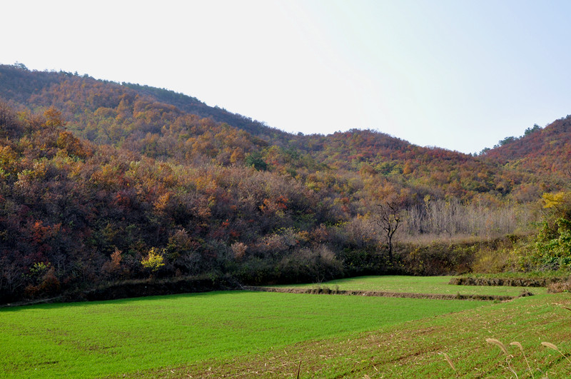 dsc_0162_.jpg
