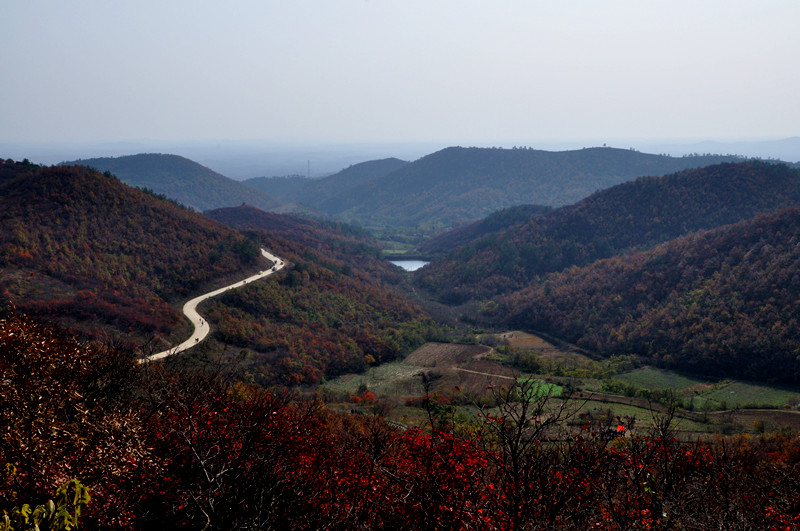 dsc_0095_.jpg