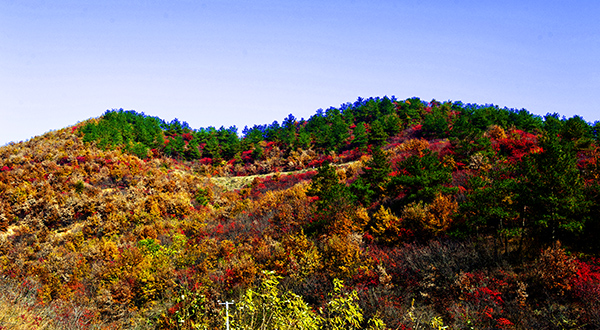 _dsc8576a.jpg