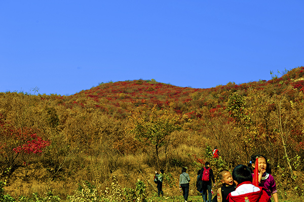 _dsc8611a.jpg