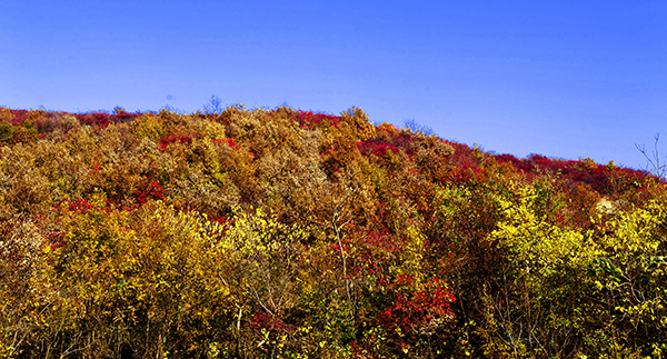 _dsc8612a.jpg