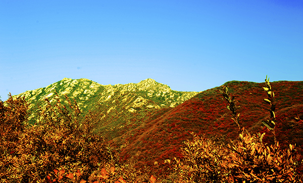 _dsc8637a1.jpg