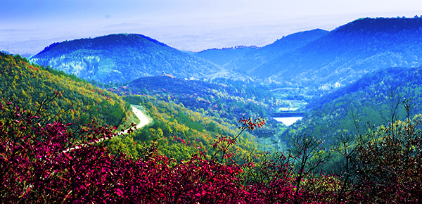 _dsc8649a.jpg