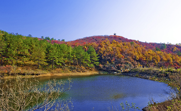 _dsc8572a.jpg
