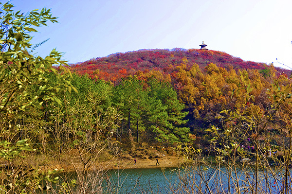 _dsc8575a.jpg