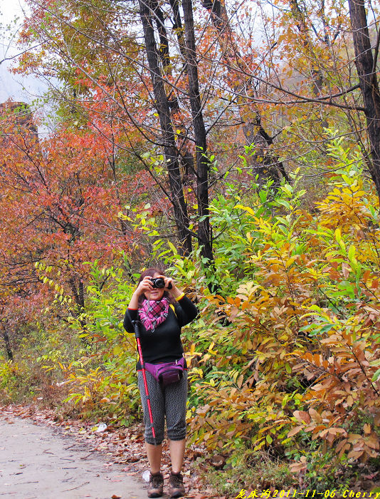 img_4551.jpg-cherry110514-1.jpg