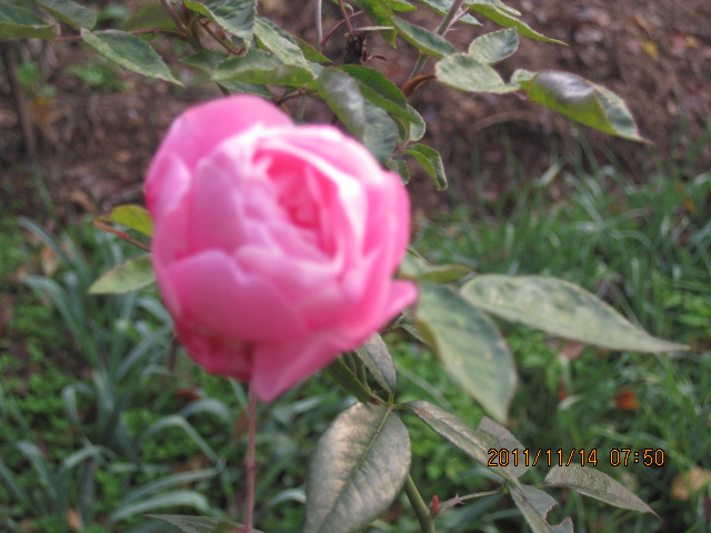 img_5826.jpg