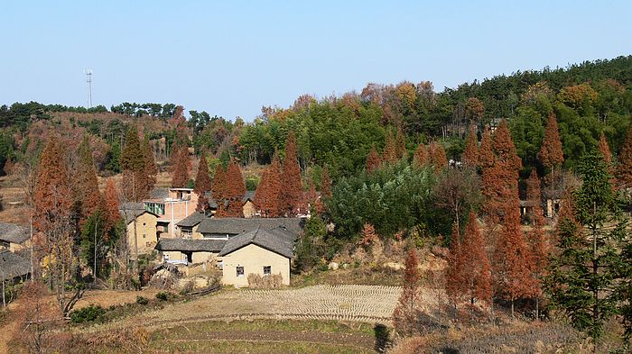 p1170649.jpg