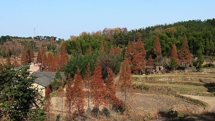 p1170652.jpg