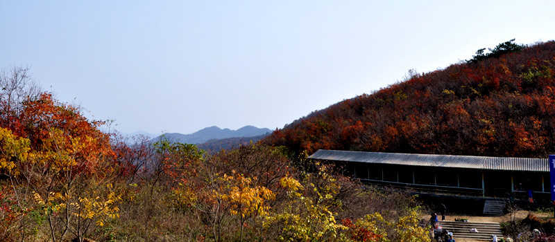 dsc_0062_.jpg