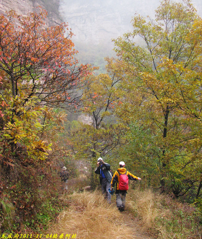 2011ʯҴϿ 101-1.jpg