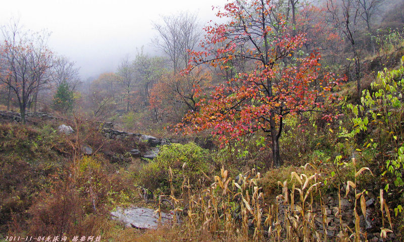 2011ʯҴϿ 859-1.jpg