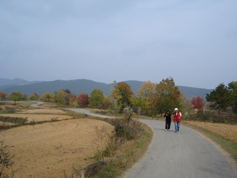 dsc024111.jpg