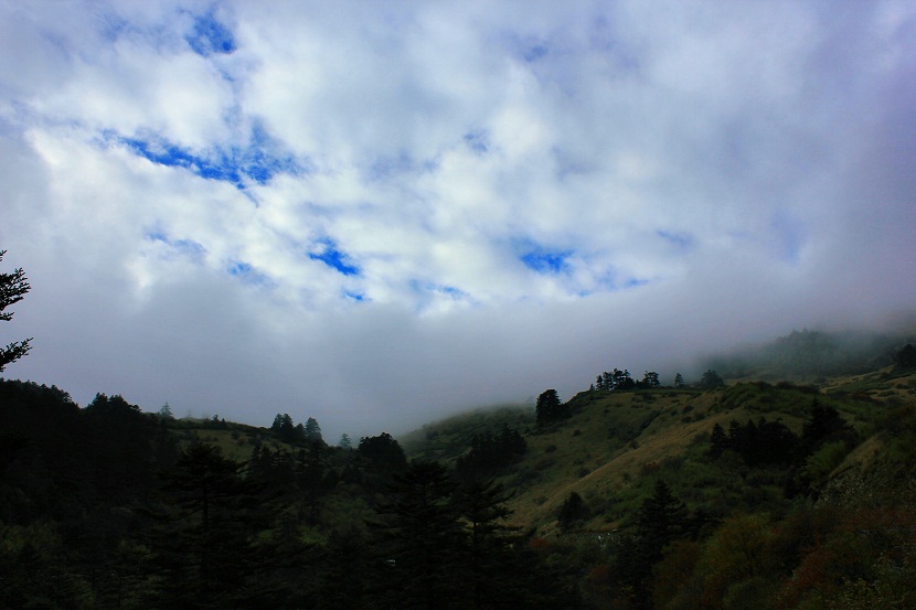 img_3164.jpg