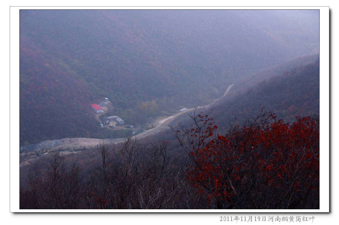 img_8862.jpg