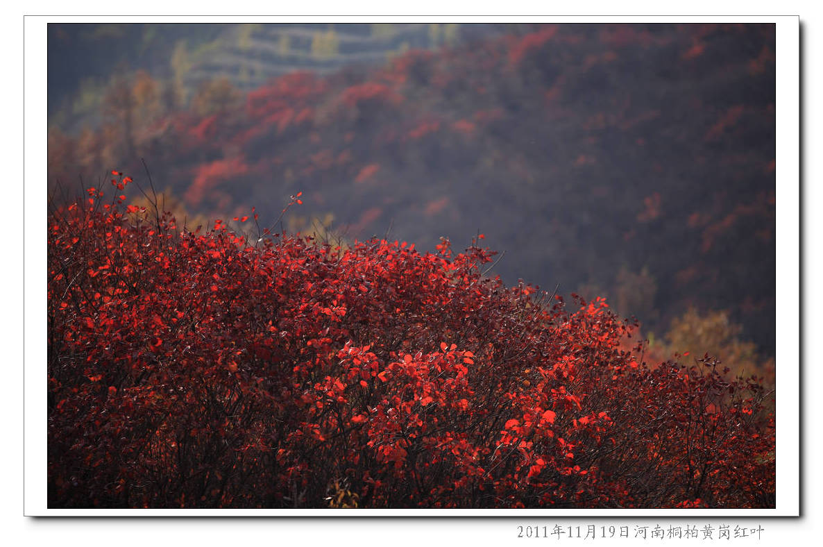img_8537.jpg