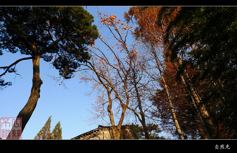 l1250974.jpg