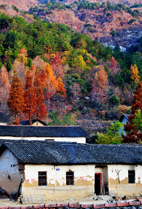 ʨӷ塢ưɽ20111119 110_.jpg