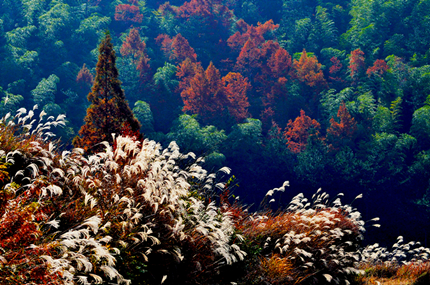 ʨӷ塢ưɽ20111119 230_.jpg