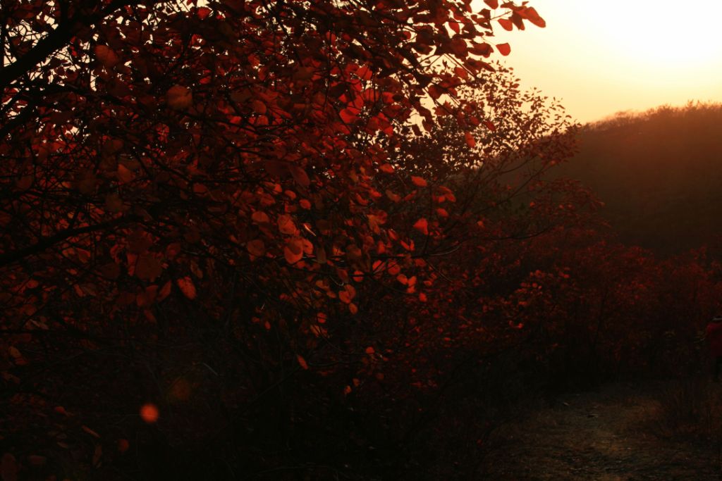 img_4270.jpg