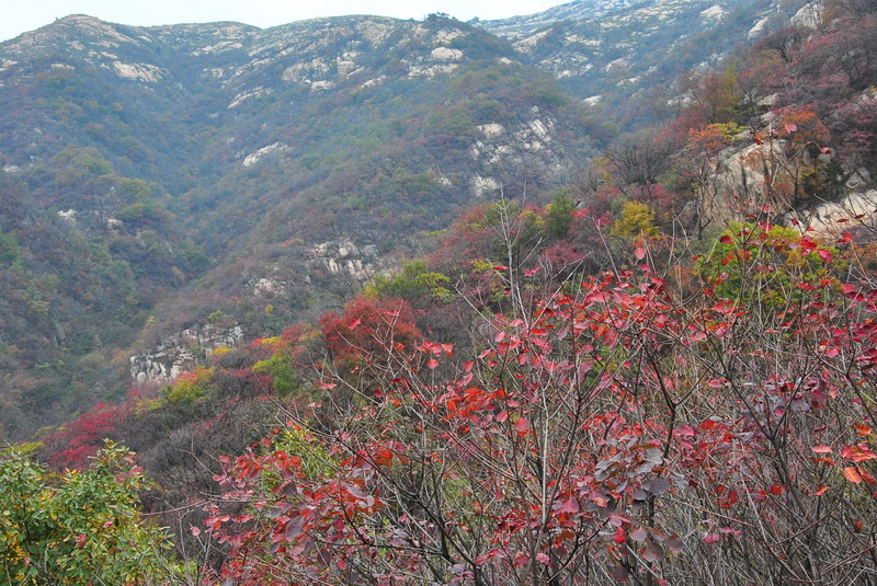 2011ƸںҶ_190_С.jpg