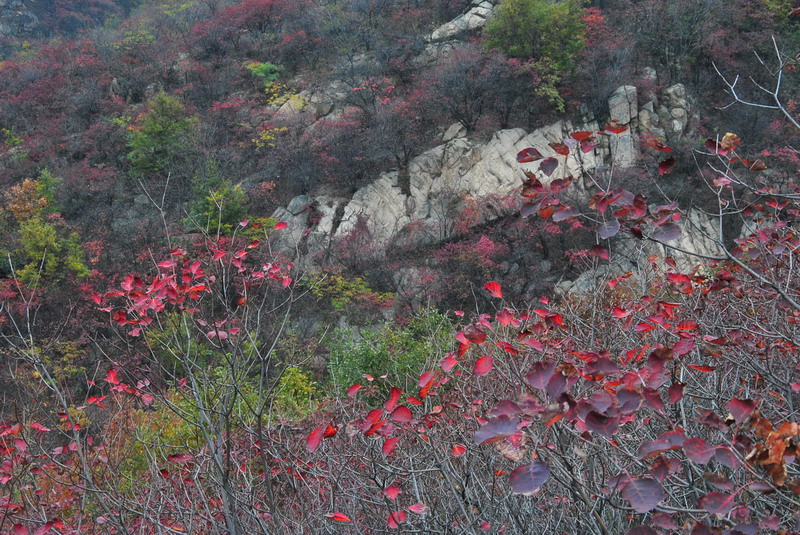 2011ƸںҶ_192_С.jpg