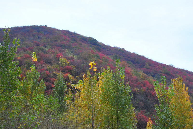 2011ƸںҶ_204_С.jpg